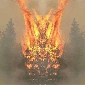 Meet your Posher, Gehu